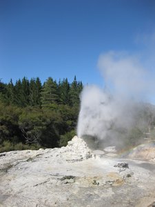 erupting geyser at wai-o-tapu, NI