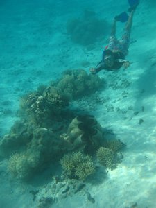 free diving, aitutaki