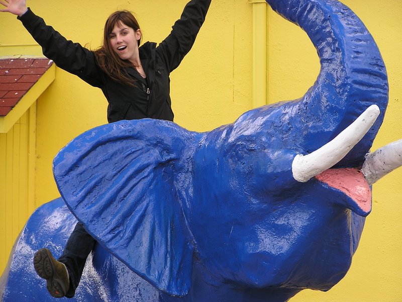 me riding a blue elephant