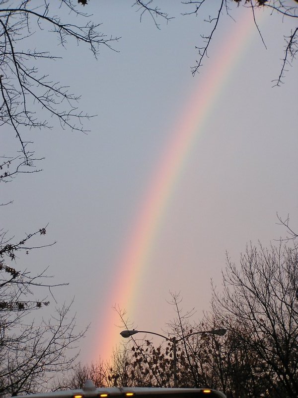 Rainbow in DC..