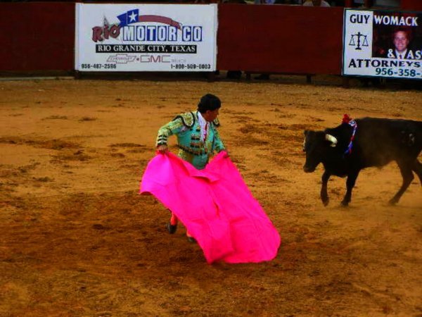 Matador fighting bull #3