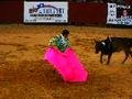 Matador fighting bull #3