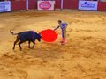 Matador fighting bull #1