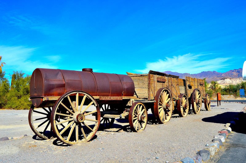 20 mule wagon