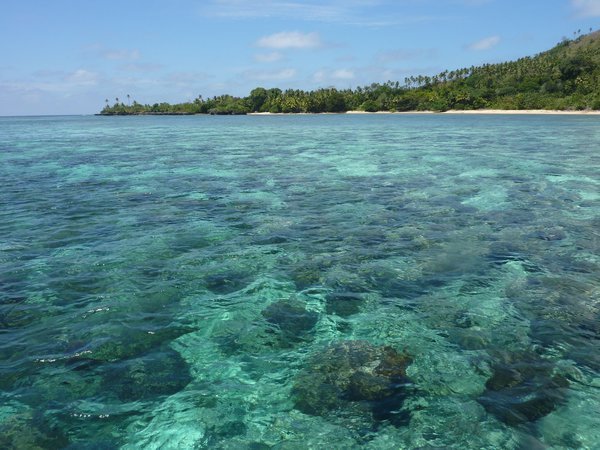 Banda Islands - Pulau Hatta - Very good snorkelling