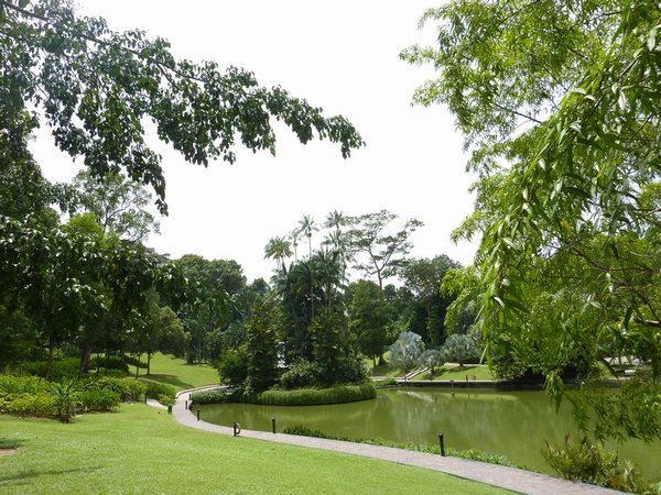 Singapore: Botanical Gardens