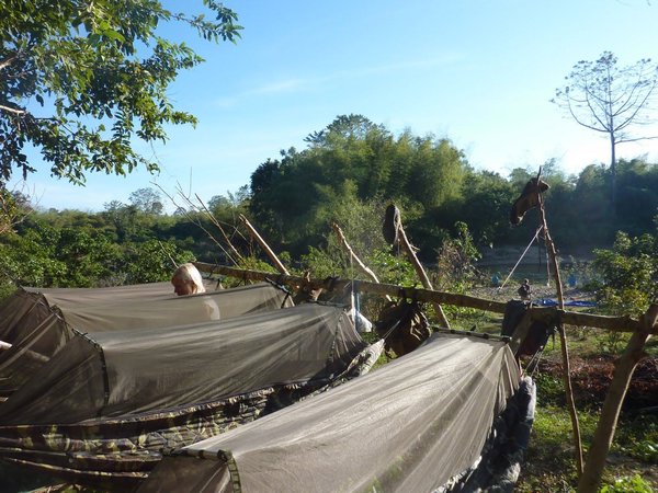 Morning view of our hammocks with mosquito nets at camp 1