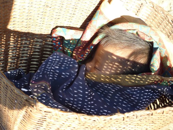 Baby carried in basket at Akha village
