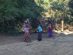 Women carrying logs to the second village