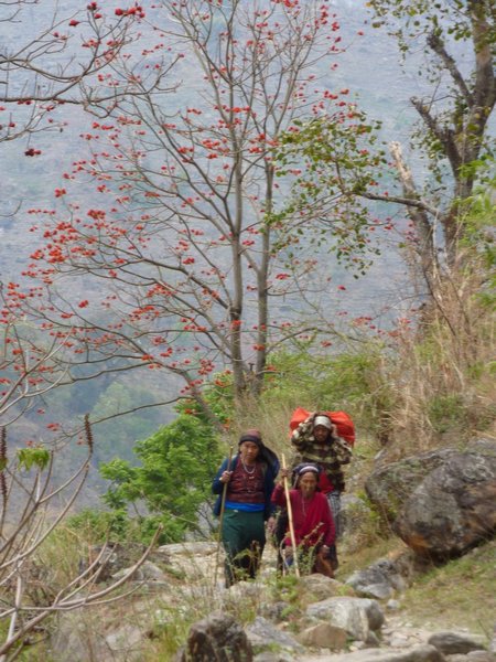 Nepalese women are walking the steep paths daily