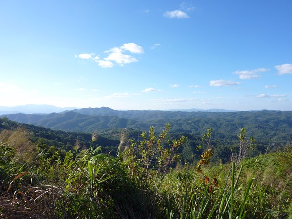 Landscape of northern Thailand