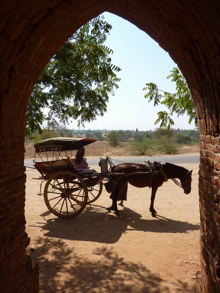 Exploring Bagan by horsecart