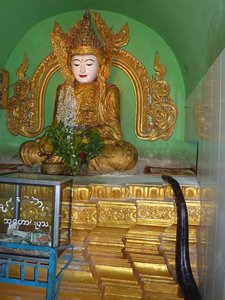 Snake living at Paleik Pagoda