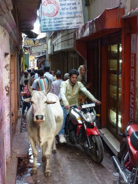 Alleyway view in Varanasi