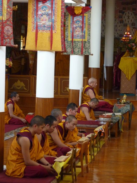 Monks praying in monastery McLeod Ganj