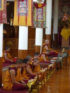 Monks praying in monastery McLeod Ganj