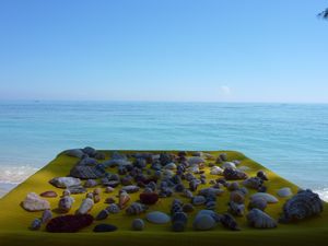Gili Air (2nd) - Our shell collection