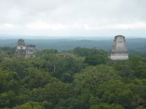 Tikal