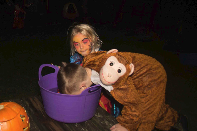 Monkey tries to dunk unsuspecting child in the apple bucket