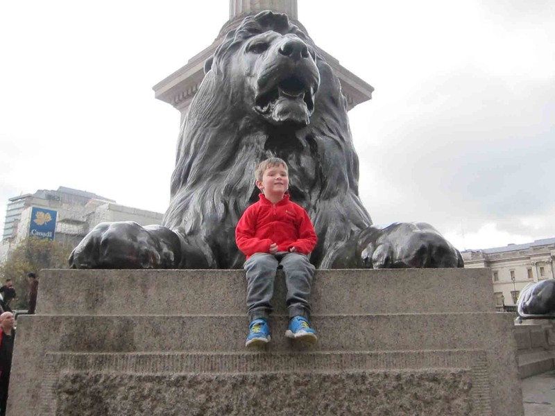 A Trafalgar Square lion