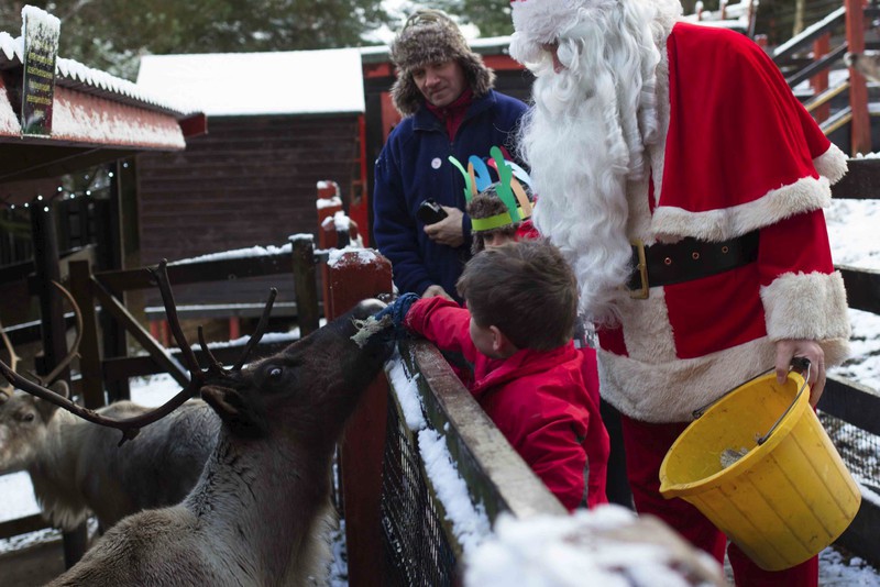 Helping Santa feed his reindeer