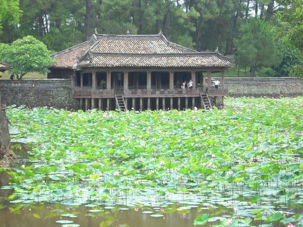 The beautiful water lillies inside the Tomb of Tu Duc