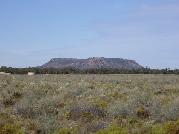 Mount Oxley, Bourke, close up