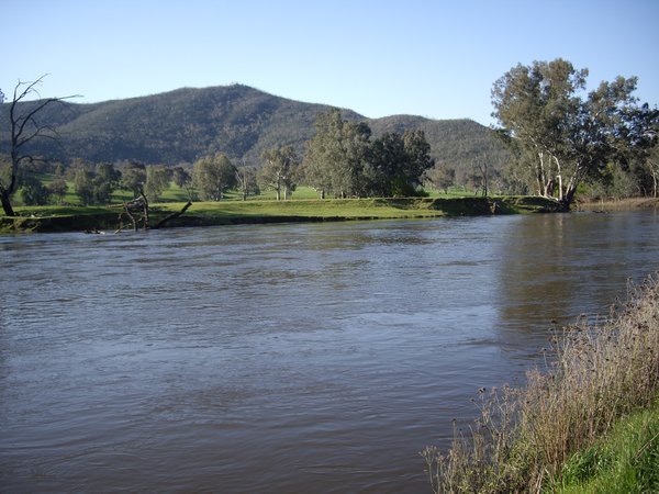 Murray River at Burrowye