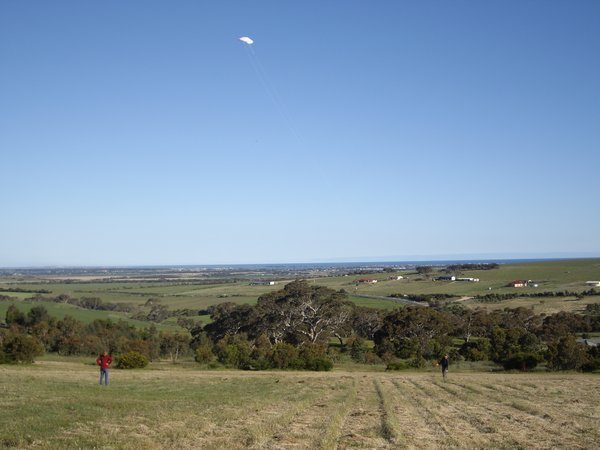 Flying Kites at Gum Tree
