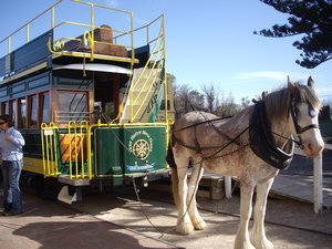 Skye - horse and tram Victor Harbor