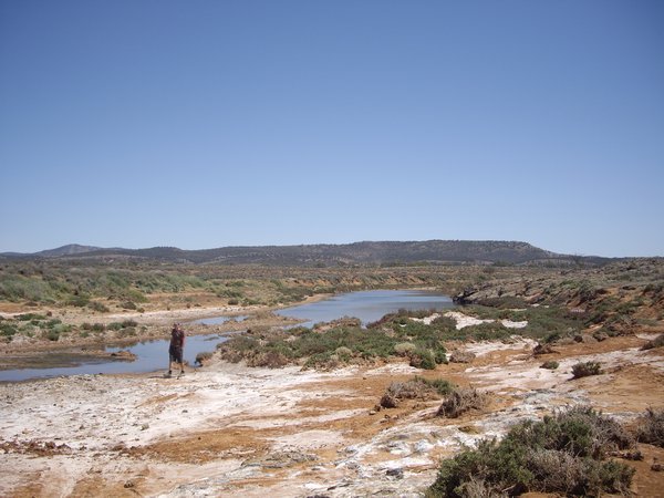 salt creek in the Flinders