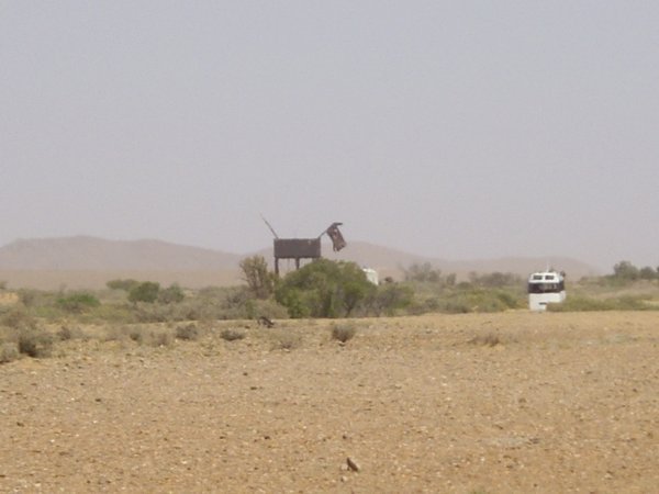 Dog on the Oodnadatta