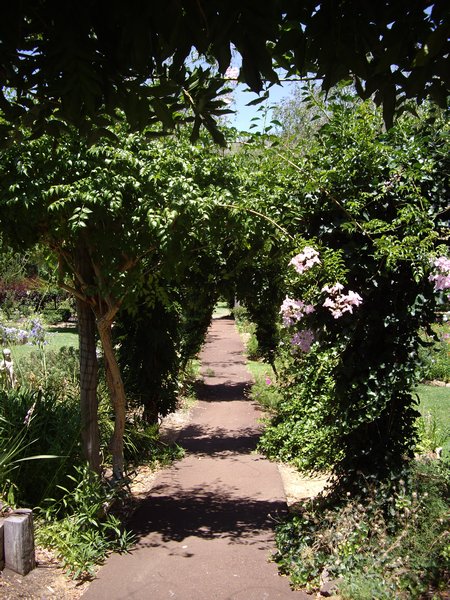 Stirling Cottage gardens