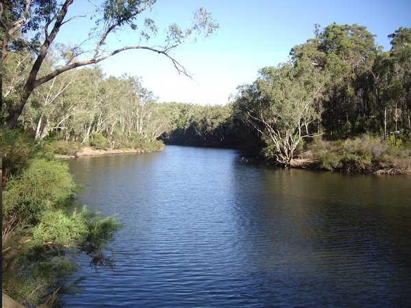 Murray River at Lane Poole