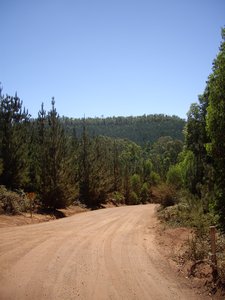 Lane Poole Reserve