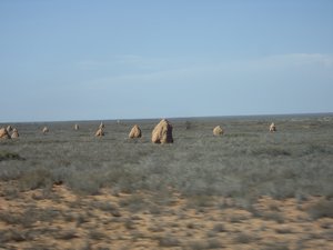 Termite mounds on the way to Exmouth