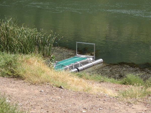 Croc trap in the Ord River