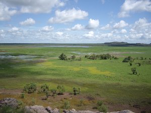Kakadu wetlands