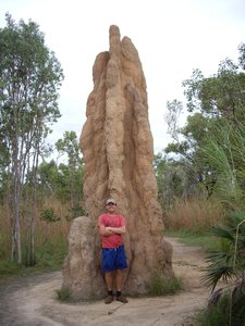 Rich and 5 metre tall termite mound!