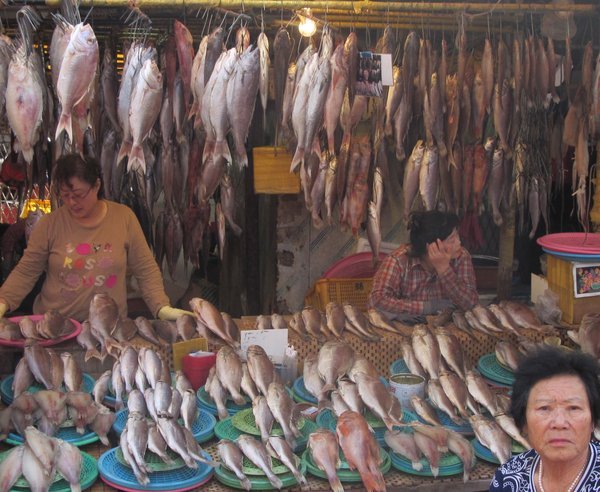 Raw Fish Market