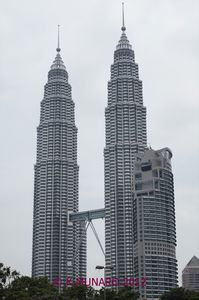 the towers