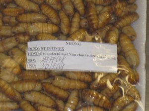 Maggots for Sale in the Supermarket