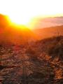 Sunrise at Mt. Bromo 5