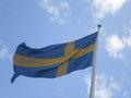 the swedish flag