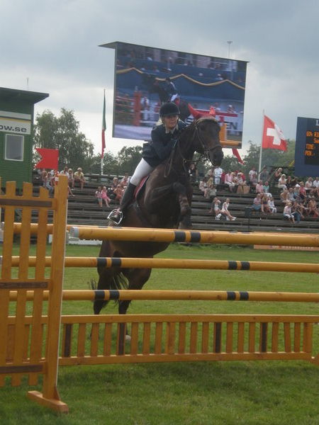 The horse show in Sweden 