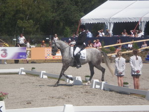 The horse show in Sweden 