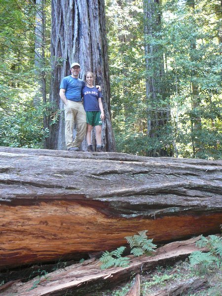 Paulo and Ellie on top of a Redwood