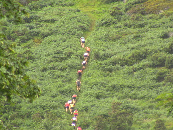 Climbing up the hill
