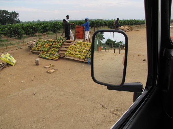 One of the billions of fruit stands on the side of the road...
