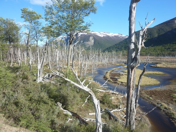 Tierra Del Fuego
